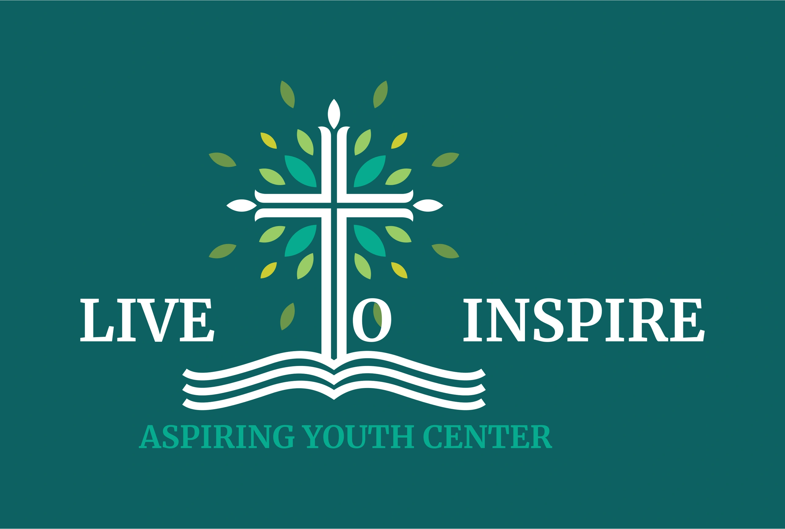 About aspiringyouthcenter